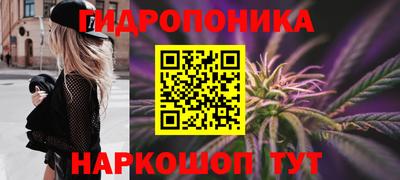 PSILOCYBIN Мариинск