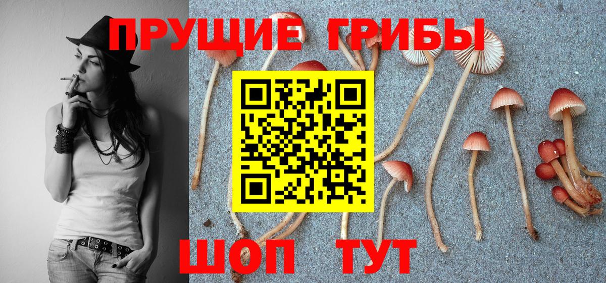 Галлюциногенные грибы мицелий  Вход с VPN  Якутск 
